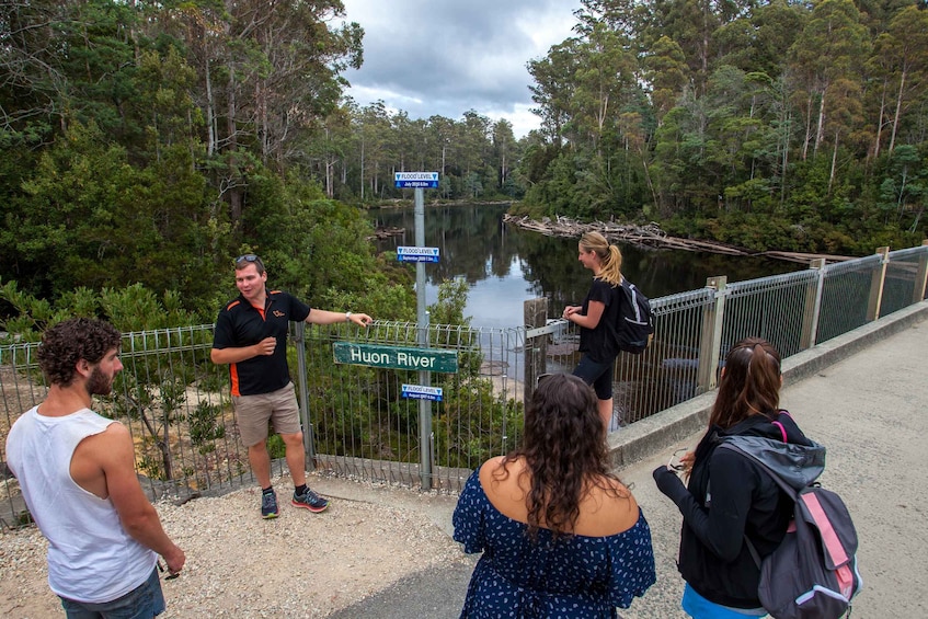 Picture 3 for Activity Hobart: Full-Day Tahune Airwalk & Hastings Caves Active Tour