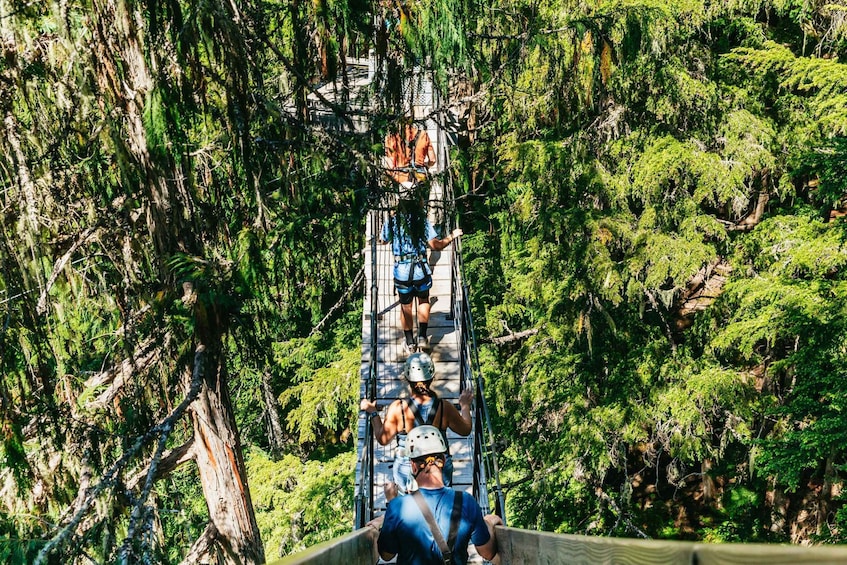 Picture 6 for Activity Whistler: Ziplining Experience