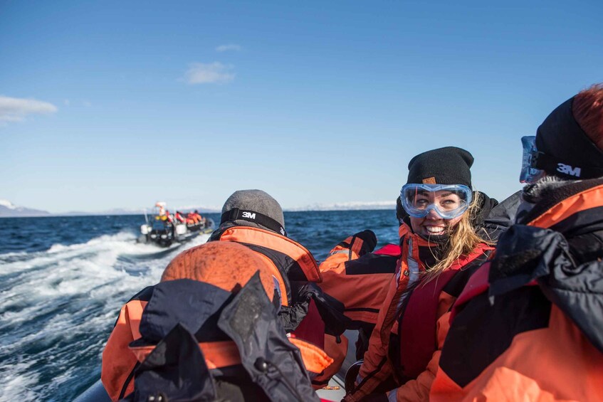 Picture 3 for Activity From Reykjavik: Whale and Puffin Watching RIB Boat Tour