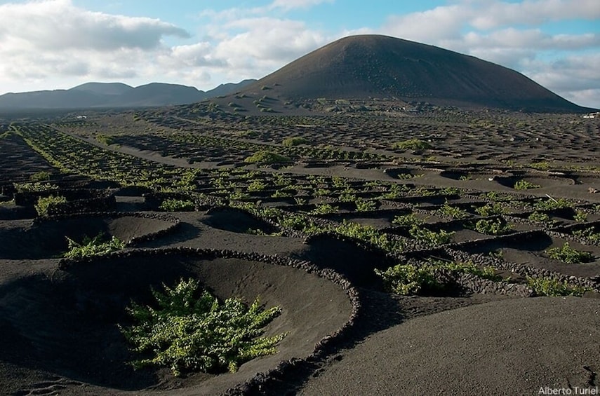 Timanfaya, the Green Lagoon and La Geria Tour