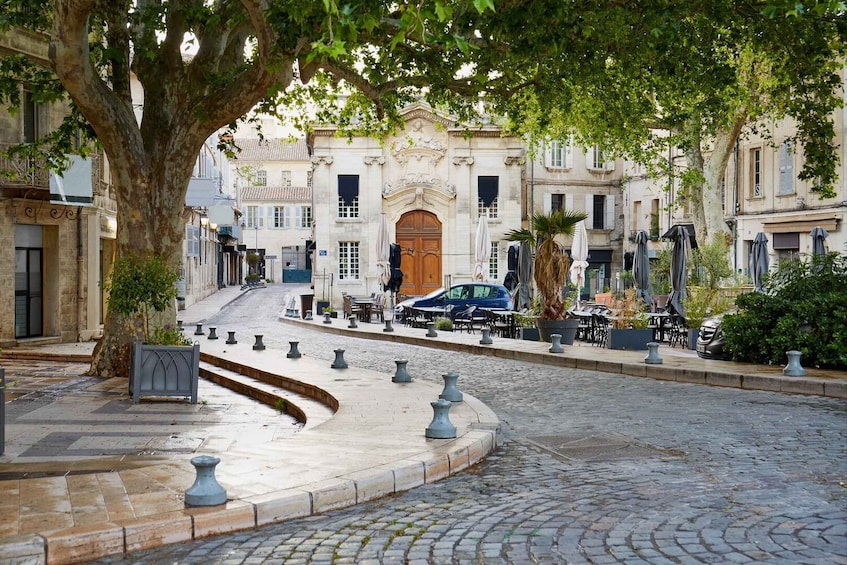 Picture 2 for Activity Avignon: Private Walking Tour – Discover History & Heritage
