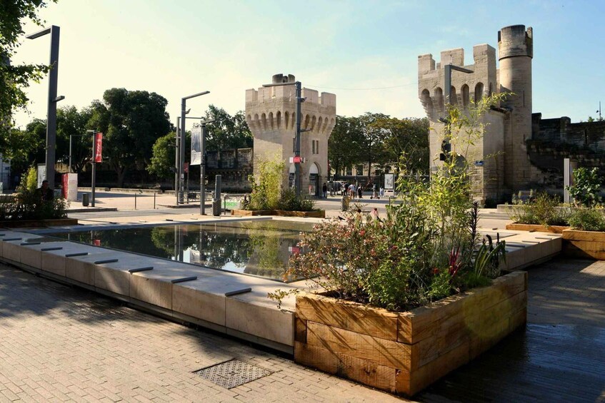 Picture 7 for Activity Avignon: Private Walking Tour – Discover History & Heritage