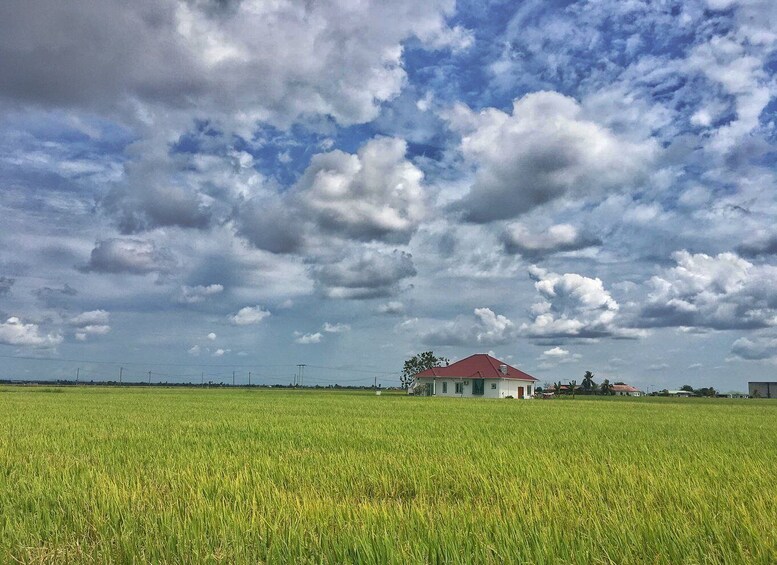 Picture 15 for Activity Sky Mirror - Kuala Selangor and Sekinchan Paddy Field Tour