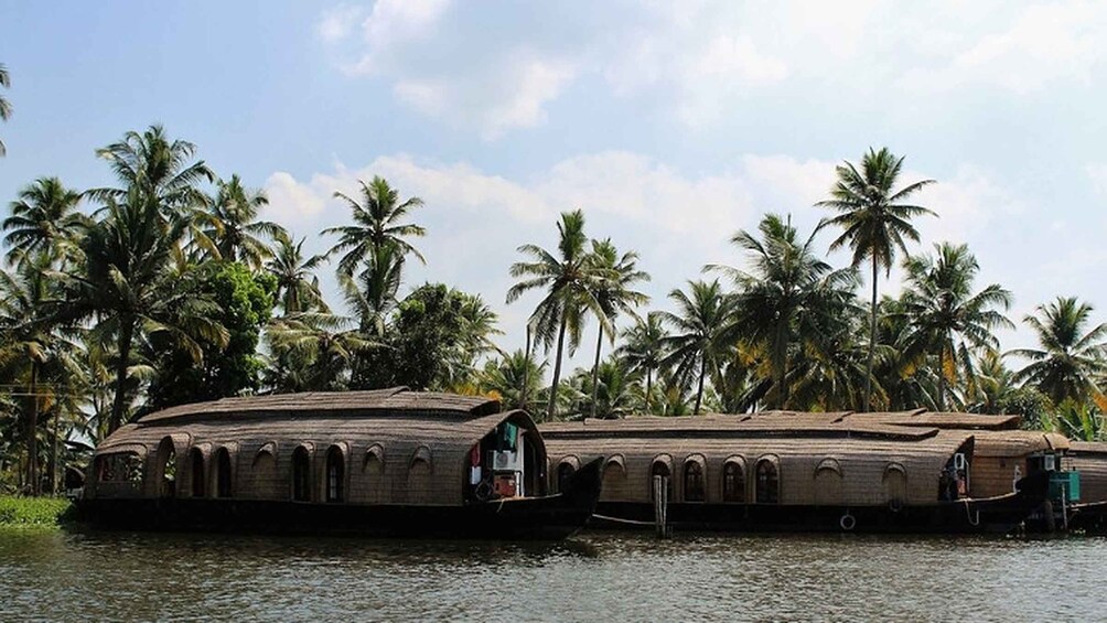Picture 8 for Activity Cochin: Alleppey Backwater Private Day Cruise by Houseboat