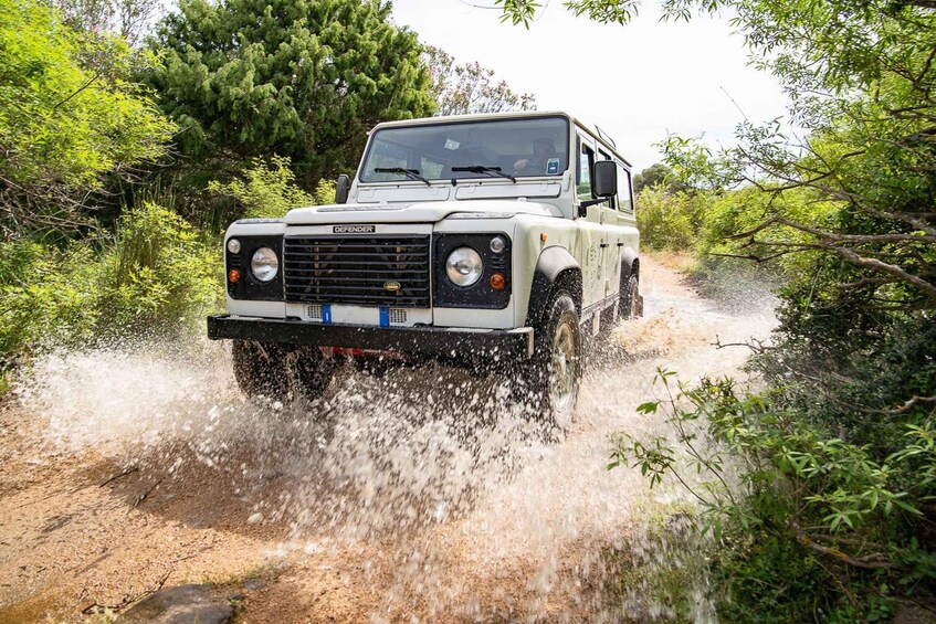 Picture 12 for Activity Gulf of Orosei: 4X4 tour between Mountains & Beaches