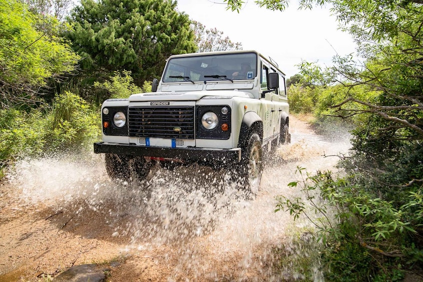 Picture 12 for Activity Gulf of Orosei: 4X4 tour between Mountains & Beaches