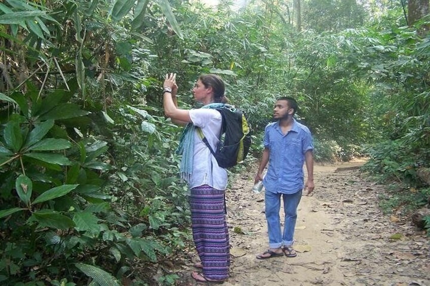 Srimangal Day Tour