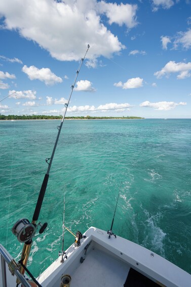 Fishing Tour & Beach Club In Riviera Maya 