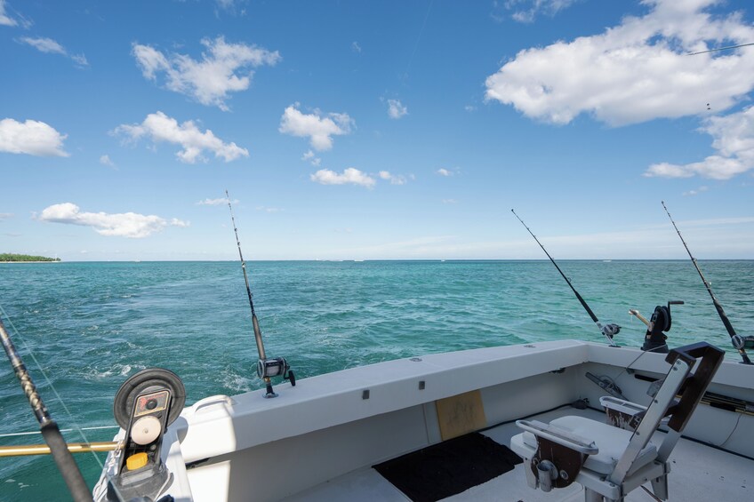 Fishing Tour & Beach Club In Riviera Maya 