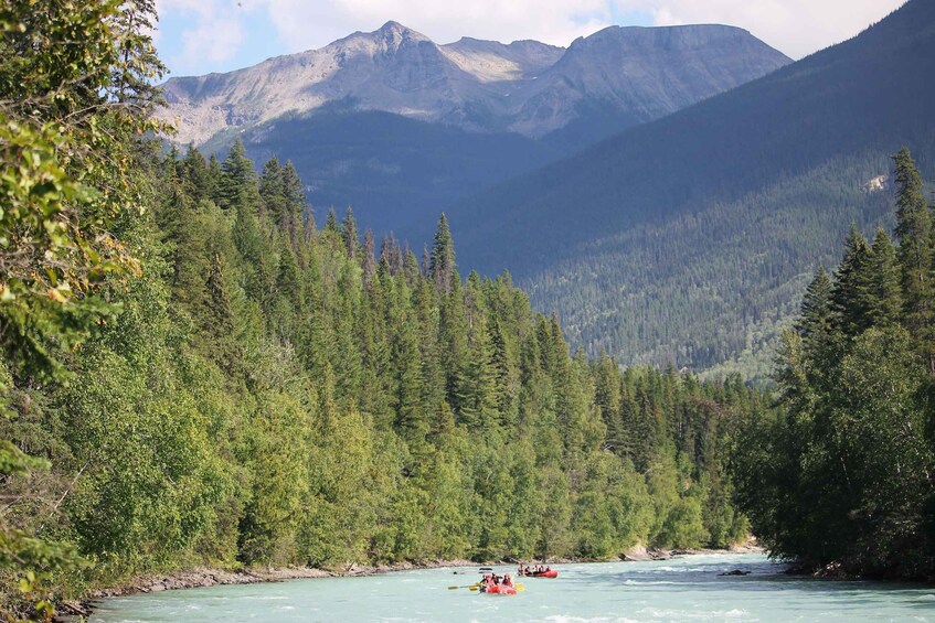 Picture 21 for Activity 5-Hour Fraser River Rafting in Jasper National Park