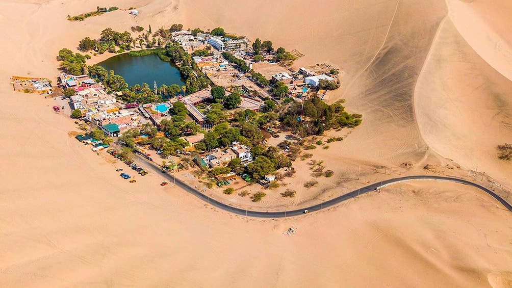 Picture 8 for Activity From Lima: Paracas, Ballestas Island & Huacachina 2 Day Tour