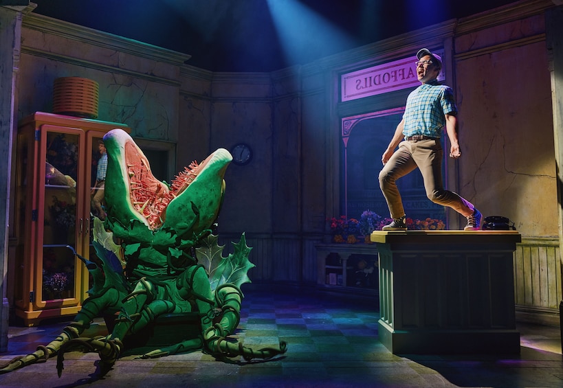 Little Shop Of Horrors