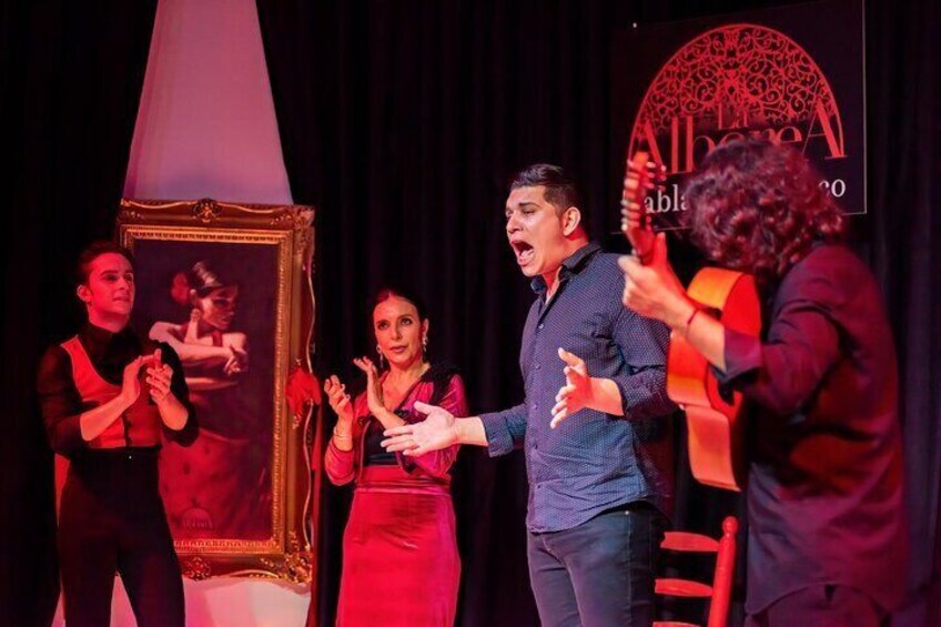 Flamenco Show in the Center of Granada