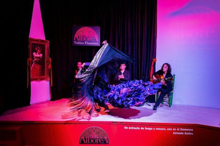 Flamenco Show in the Center of Granada