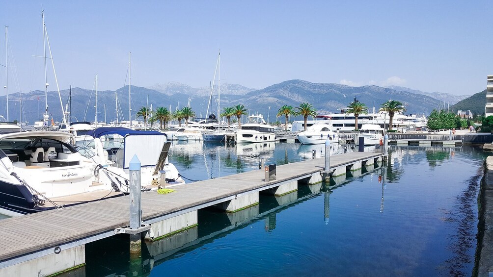 Day Tour of Budva and Kotor from Tirana