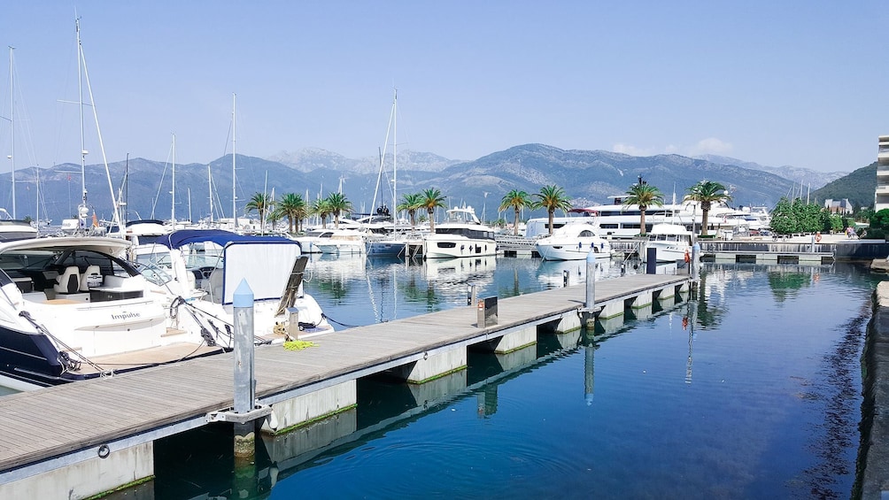 Day Tour of Budva and Kotor from Tirana