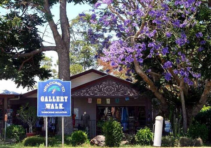 Picture 22 for Activity Brisbane: Tamborine Mountain Local Winery Tour with Lunch