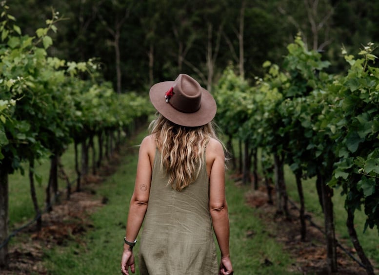 Picture 25 for Activity Brisbane: Tamborine Mountain Local Winery Tour with Lunch