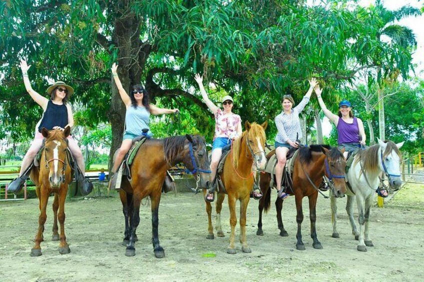 Punta Cana Half-Day Cultural Safari with Lunch and Drinks