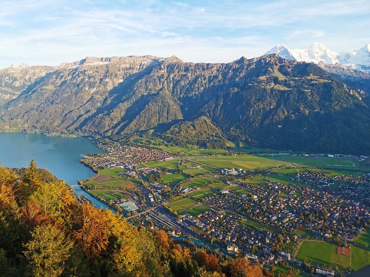 Small group with driver to Interlaken with driver guide