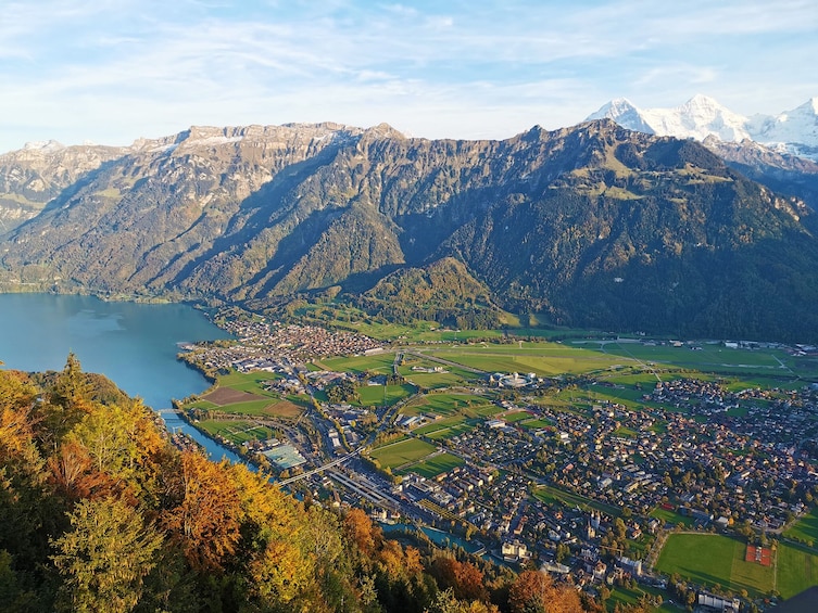 Small group with driver to Interlaken with driver guide