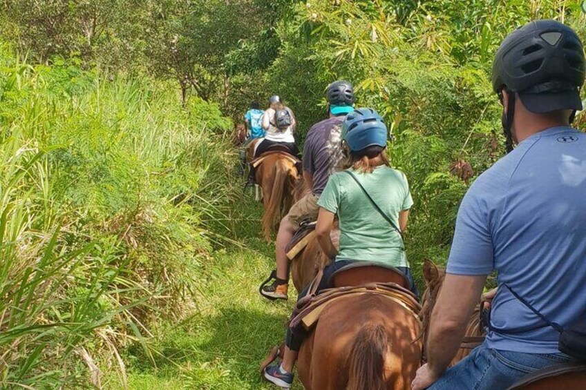 3 Hours Horseback Riding from Nature Trails to Sofa Stone