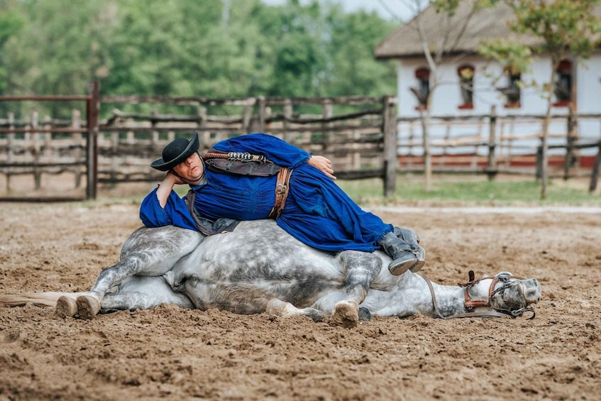 Picture 7 for Activity From Budapest: Puszta Horse Show and Countryside Visit