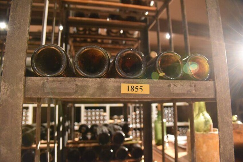 Private Tour on the Route des Grands Vins du Médoc with Visits and Tastings