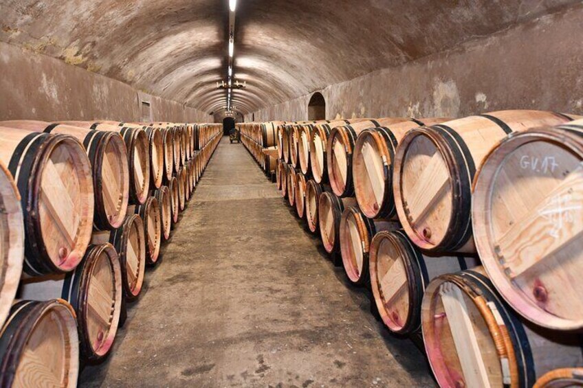 Private Tour on the Route des Grands Vins du Médoc with Visits and Tastings
