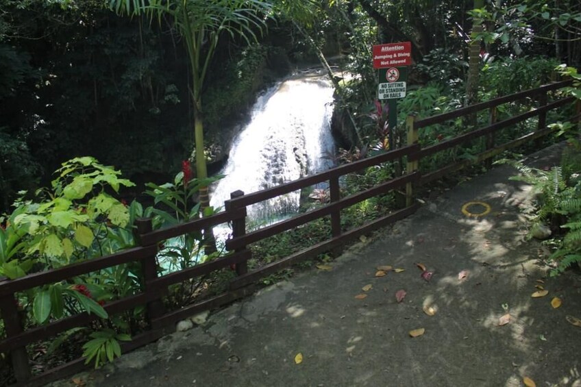 Blue Hole & Dunn's River Falls Combo Tour  with Lunch