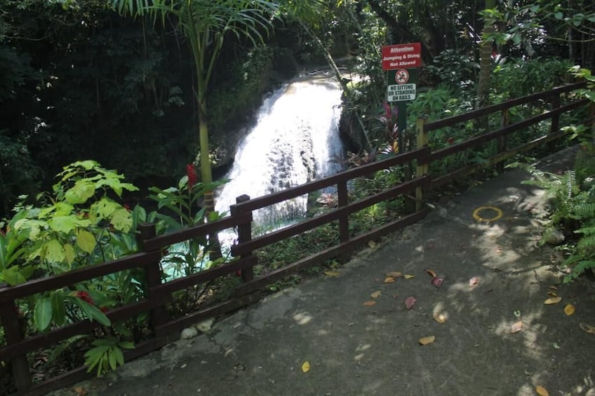 Blue Hole & Dunn's River Falls Combo Tour with Lunch