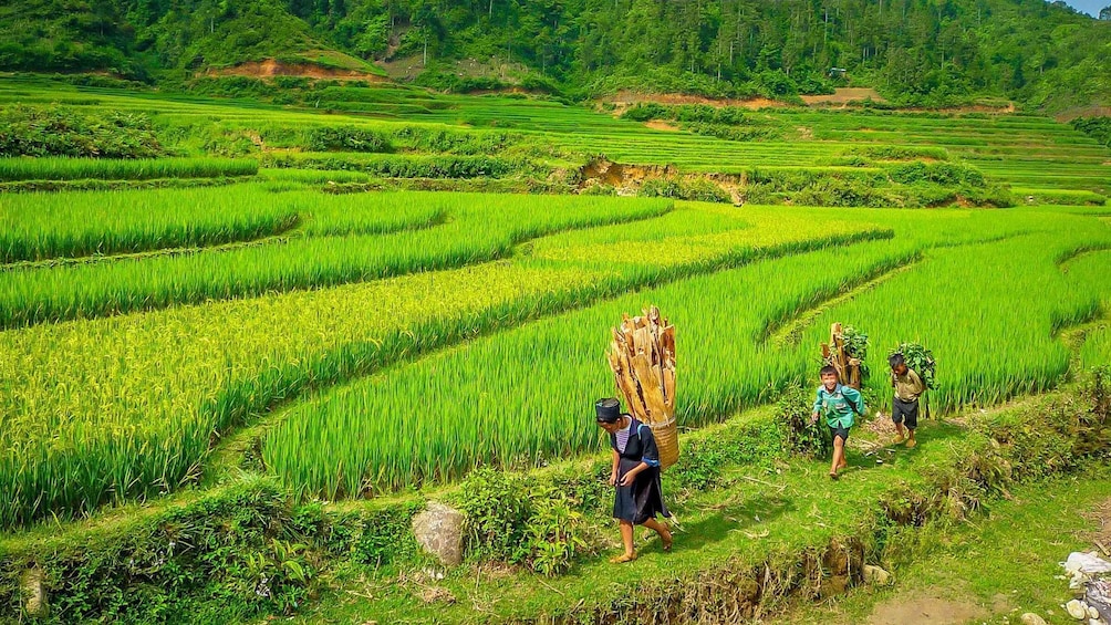 Picture 41 for Activity From Hanoi: Two-Day Sapa Tour with Fansipan Peak Visit