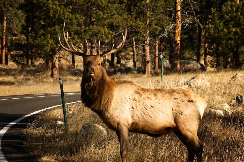 25+ National Park Tours: Self-Guided Driving Bundle