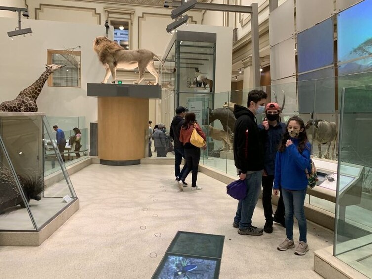 Smithsonian National Museum of Natural History Guided Tour