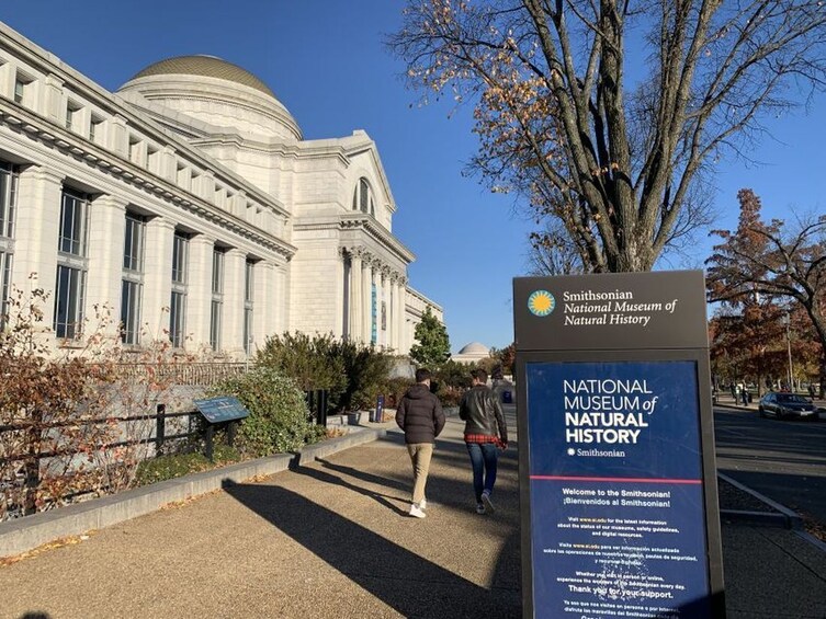 Smithsonian National Museum of Natural History Guided Tour
