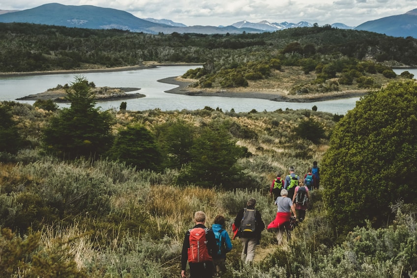 Gable Island Boat Tour & Penguin Watching