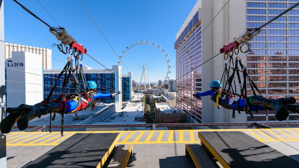 Fly LINQ Zipline