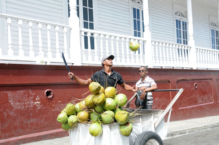 The Best of Puerto Plata Full Day City Tour