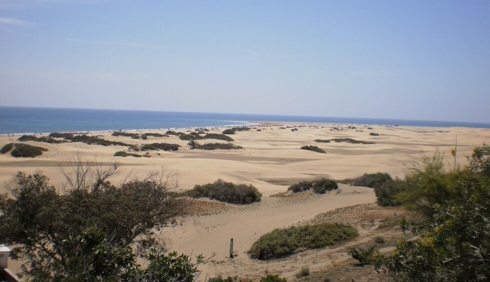 Lazy Wednesday Tour from Las Palmas