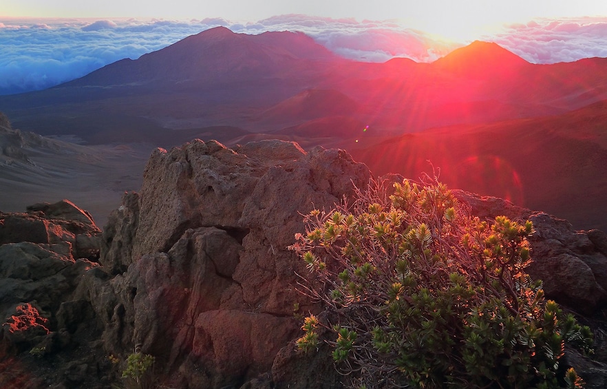 Morning views at Haleakalā National Park