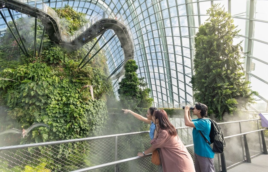 Singapore Gardens by the Bay Admission Ticket