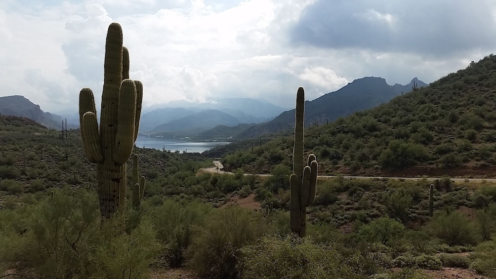Small Group Apache Trail Single Day Tour