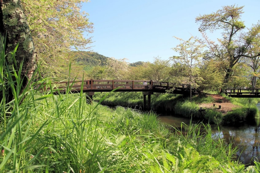 From Tokyo: Mt. Fuji, Oshino Hakkai & Gotemba Outlets 1Day Bus Tour