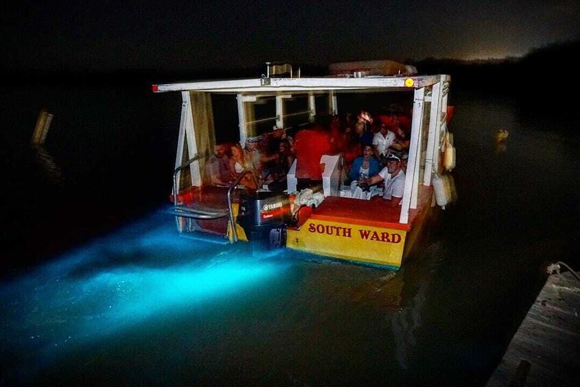 Must Do-Dunns River Falls & Luminous Lagoon Experience