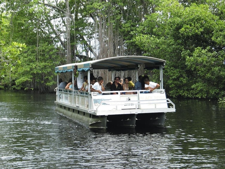 Relax & Discover - YS Falls & Black River Safari Experience