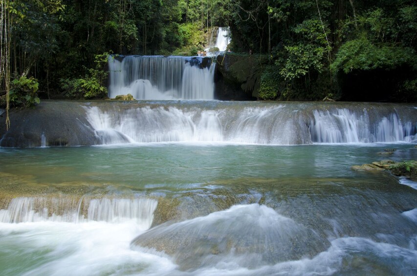 Relax & Discover - YS Falls & Black River Safari Experience