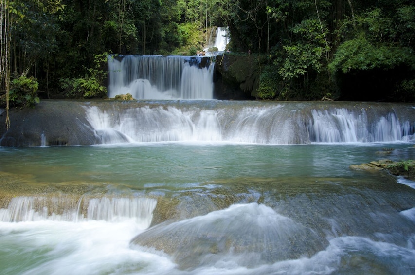 Relax & Discover - YS Falls & Black River Safari Experience