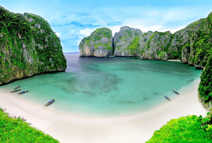 Phi Phi Islands X-Large The Early Bird