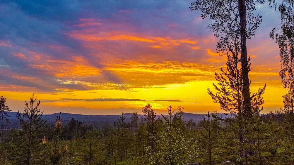 Rovaniemi: Midnight Sun Summer Floating in Forest Lake