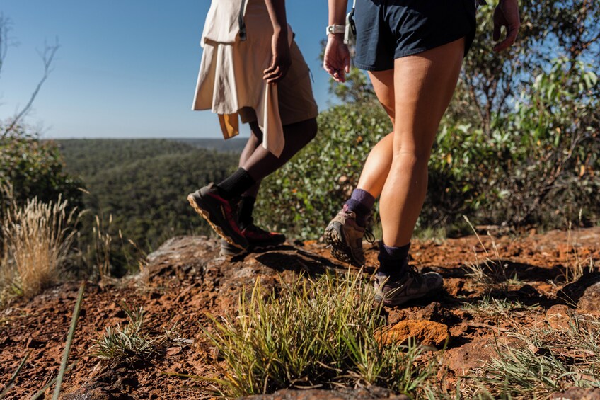 Grampians National Park Wildlife and Wilderness Escape Tour